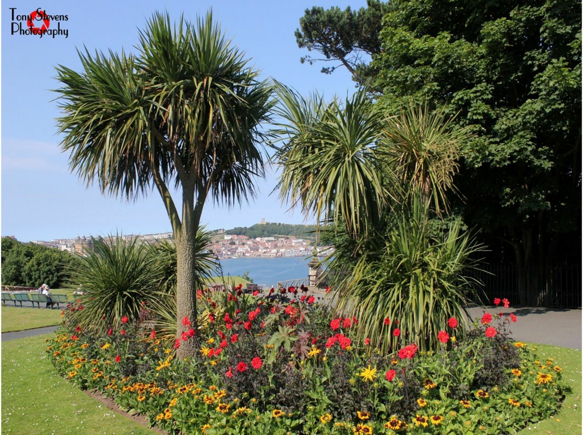 Esplanade Gardens B&B Scarborough Exterior foto